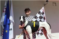 Cool_Dolce_double_record_Greyhound_Park_Motol_IMG_0923.JPG
