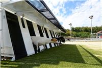 Greyhound_Park_Motol_Stadium_Prague_Czech_Racing_DSC_1771.JPG