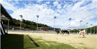 Greyhound_Park_Motol_Stadium_Prague_Czech_Racing_DSC_1776.jpg