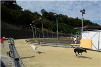Greyhound_Park_Motol_Stadium_Prague_Czech_Racing_DSC_1787.JPG