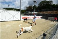 Greyhound_Park_Motol_Stadium_Prague_Czech_Racing_DSC_1793.JPG