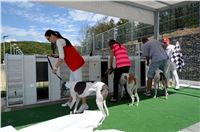 Greyhound_Park_Motol_Stadium_Prague_Czech_Racing_DSC_1838.JPG