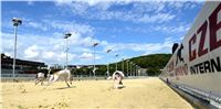 Greyhound_Park_Motol_Stadium_Prague_Czech_Racing_DSC_1849.JPG