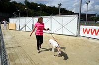 Greyhound_Park_Motol_Stadium_Prague_Czech_Racing_DSC_1873.JPG