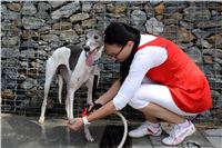 Greyhound_Park_Motol_Stadium_Prague_Czech_Racing_DSC_1880.jpg