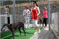 Greyhound_Park_Motol_Stadium_Prague_Czech_Racing_DSC_1909.JPG