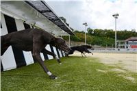 Greyhound_Park_Motol_Stadium_Prague_Czech_Racing_DSC_1915.JPG