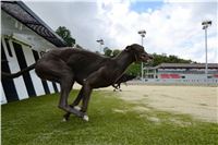 Greyhound_Park_Motol_Stadium_Prague_Czech_Racing_DSC_1916.JPG