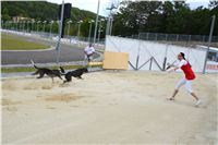 Greyhound_Park_Motol_Stadium_Prague_Czech_Racing_DSC_1929.JPG
