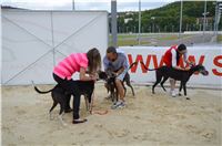 Greyhound_Park_Motol_Stadium_Prague_Czech_Racing_DSC_1937.JPG