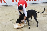 Greyhound_Park_Motol_Stadium_Prague_Czech_Racing_DSC_1938.JPG