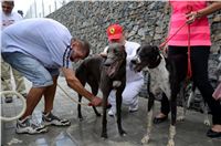 Greyhound_Park_Motol_Stadium_Prague_Czech_Racing_DSC_1946.JPG