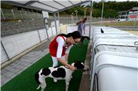 Greyhound_Park_Motol_Stadium_Prague_Czech_Racing_DSC_1966.JPG
