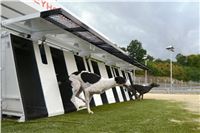 Greyhound_Park_Motol_Stadium_Prague_Czech_Racing_DSC_1971.JPG