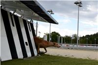 Greyhound_Park_Motol_Stadium_Prague_Czech_Racing_DSC_2005.JPG