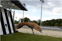 Greyhound_Park_Motol_Stadium_Prague_Czech_Racing_DSC_2006.JPG