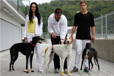 Greyhound_Park_Motol_Prague_IMG_1139.JPG Greyhound_Park_Motol_Prague_IMG_1139.jpg