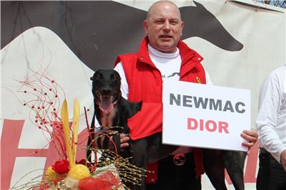 Winner_NewMac_Dior_Czech_Greyhound_Racing_Federation_IMG_4562-v-1.jpg