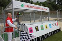 Greyhound_Park_Motol_Prague_Czech_Greyhound_Racing_Federation.jpg