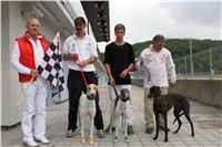 Greyhound_Race_Track_Prague_Greyhound_Park_Motol_IMG_1158.JPG