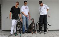 Greyhound_Race_Track_Prague_Greyhound_Park_Motol_IMG_1205.JPG