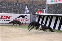 Greyhound_Race_Track_Prague_Greyhound_Park_Motol_IMG_1216.JPG