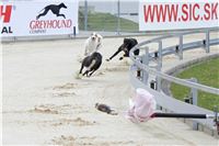 Greyhound_Race_Track_Prague_IMG_1147.JPG