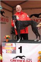 Winner_DIOR_Czech_GP_Race_Track_Praskacka_Czech_Greyhound_Racing_Federation.jpg