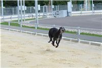 CATO_Gallardo_Greyhound_Park_Motol_Racing_DSC_2402.JPG