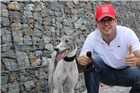 Chanel_Gallardo_Greyhound_Park_Motol_Racing_IMG_1402.JPG