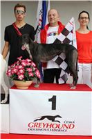 DIOR_Gallardo_Greyhound_Park_Motol_Racing_IMG_1539.JPG