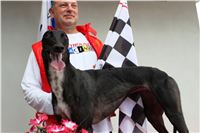 DIOR_Gallardo_Greyhound_Park_Motol_Racing_IMG_1609_v.JPG