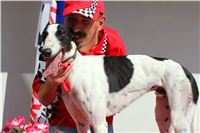 DOLCE_Gallardo_Greyhound_Park_Motol_Racing_IMG_1303_v.jpg