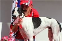 DOLCE_Gallardo_Greyhound_Park_Motol_Racing_IMG_1303_v.jpg