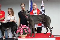 GUCCI_Gallardo_Greyhound_Park_Motol_Racing_IMG_1416.JPG