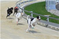 Gucci_Gallardo_Greyhound_Park_Motol_Racing_DSC_2302.jpg