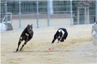 Gucci_Gallardo_Greyhound_Park_Motol_Racing_DSC_2388.JPG