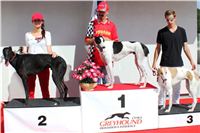 Gucci_Gallardo_Greyhound_Park_Motol_Racing_IMG_1280.JPG