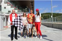 Gucci_Gallardo_Greyhound_Park_Motol_Racing_IMG_1312.JPG