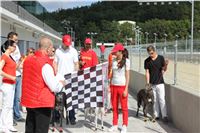 Gucci_Gallardo_Greyhound_Park_Motol_Racing_IMG_1339.JPG