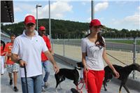 Gucci_Gallardo_Greyhound_Park_Motol_Racing_IMG_1343.JPG