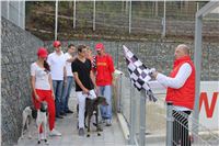 Gucci_Gallardo_Greyhound_Park_Motol_Racing_IMG_1354.JPG