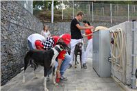 Gucci_Gallardo_Greyhound_Park_Motol_Racing_IMG_1385.JPG
