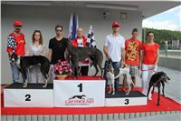 Gucci_Gallardo_Greyhound_Park_Motol_Racing_IMG_1418.JPG