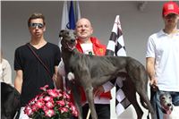 Gucci_Gallardo_Greyhound_Park_Motol_Racing_IMG_1436.jpg