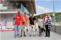 Gucci_Gallardo_Greyhound_Park_Motol_Racing_IMG_1442.JPG