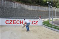 Gucci_Gallardo_Greyhound_Park_Motol_Racing_IMG_1485.JPG