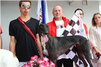 Gucci_Gallardo_Greyhound_Park_Motol_Racing_IMG_1553.JPG