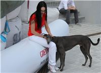 Gucci_Gallardo_Greyhound_Park_Motol_Racing_IMG_1712.JPG