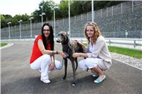 Gucci_Gallardo_Greyhound_Park_Motol_Racing_IMG_1772.JPG